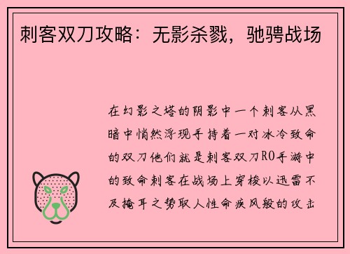 刺客双刀攻略：无影杀戮，驰骋战场